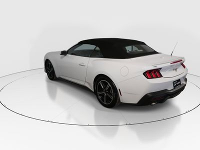 2024 Ford Mustang - Photo 5