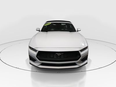2024 Ford Mustang - Photo 2