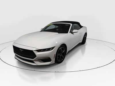 2024 Ford Mustang - Photo 3