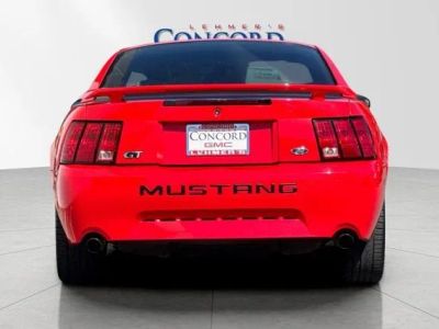 2001 Ford Mustang — detail view
