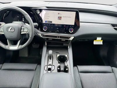 2026 Lexus RX — photo 20 view