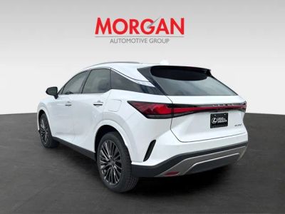 2026 Lexus RX — detail view