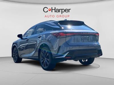 2023 Lexus RX — detail view