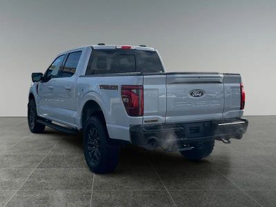 2025 Ford F-150 — detail view