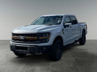 2025 Ford F-150 — rear three-quarter view