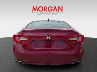 2019 Honda Accord - Photo 4