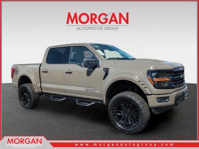 2026 Ford F-150 XLT in Gray — front three-quarter view