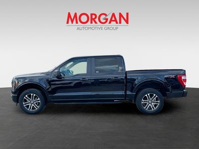 2023 Ford F-150 — detail view
