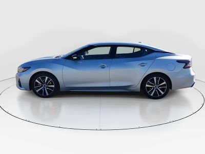 2023 Nissan Maxima - Photo 4