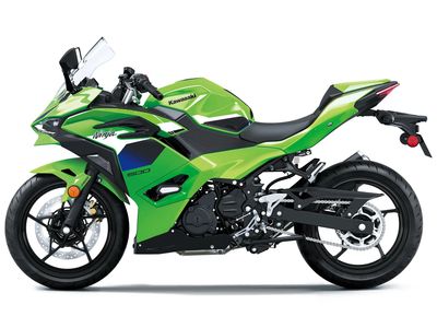 2026 Kawasaki Ninja 500 SE ABS - Photo 10