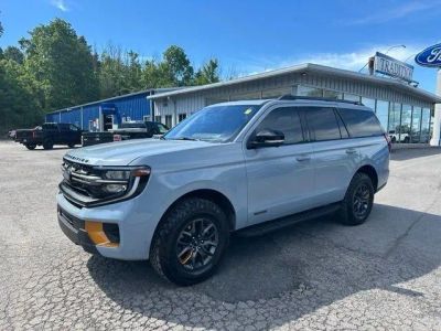 2025 Ford Expedition Tremor 4x4 in Gray Metallic — front three-quarter view