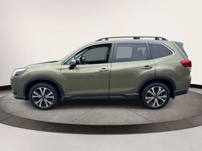 2024 Subaru Forester — detail view