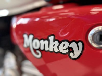 2025 Honda Monkey ABS - Photo 6