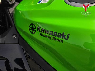 2023 Kawasaki Ninja 400 KRT Edition - Photo 9