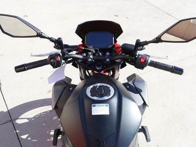 2025 Kawasaki Z500 SE ABS - Photo 9