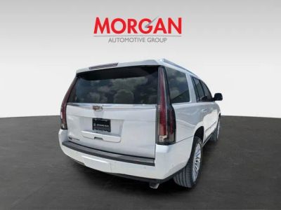 2020 Cadillac Escalade — detail view