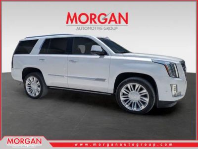 2020 Cadillac Escalade Platinum in Crystal White Tricoat — front three-quarter view