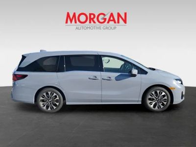 2026 Honda Odyssey — rear three-quarter view