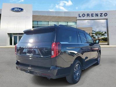 2025 Ford Expedition — detail view