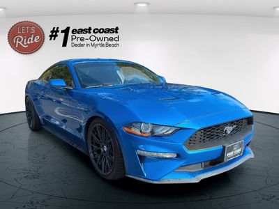 2019 Ford Mustang - Photo 3