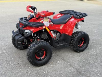 2026 Denago Powersports Mudhawk 10 FI - Photo 2