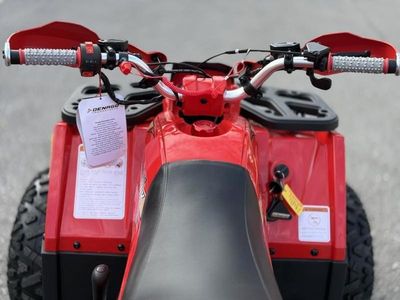 2026 Denago Powersports Mudhawk 10 FI - Photo 9