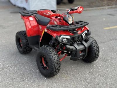 2026 Denago Powersports Mudhawk 10 FI - Photo 1