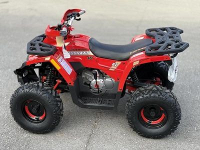 2026 Denago Powersports Mudhawk 10 FI - Photo 6
