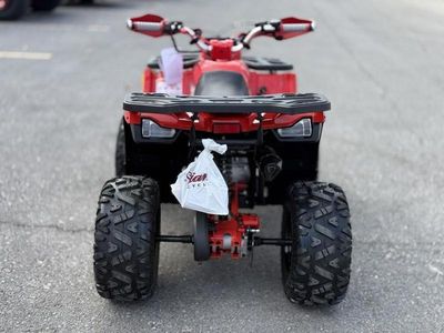 2026 Denago Powersports Mudhawk 10 FI - Photo 5