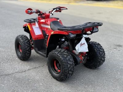 2026 Denago Powersports Mudhawk 10 FI - Photo 3
