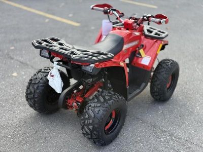 2026 Denago Powersports Mudhawk 10 FI - Photo 4