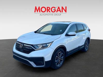 2020 Honda CR-V — rear three-quarter view