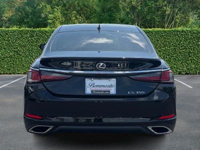 2023 Lexus ES — detail view