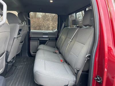2019 Ford F-150 XLT — photo 34 view