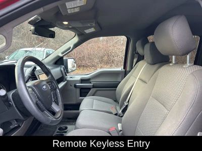 2019 Ford F-150 XLT — photo 15 view