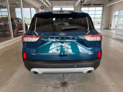 2020 Ford Escape — detail view
