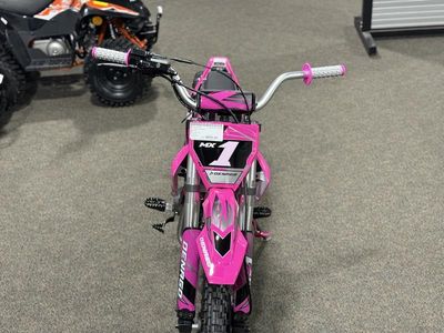2026 Denago Powersports MX1 - Photo 9