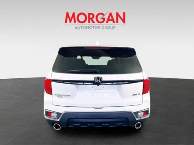 2024 Honda Passport — photo 7 view