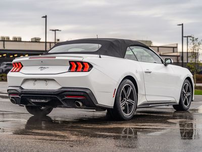 2024 Ford Mustang - Photo 6