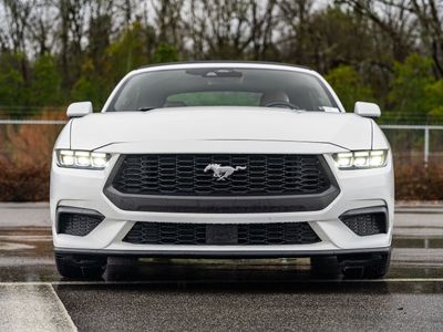 2024 Ford Mustang - Photo 1
