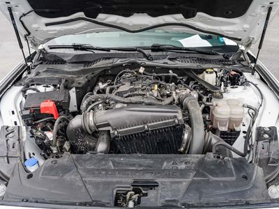 2024 Ford Mustang - Photo 17