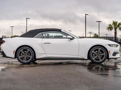 2024 Ford Mustang - Photo 7