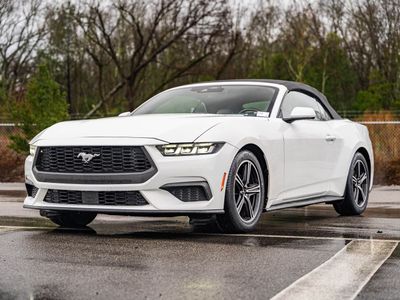 2024 Ford Mustang - Photo 2