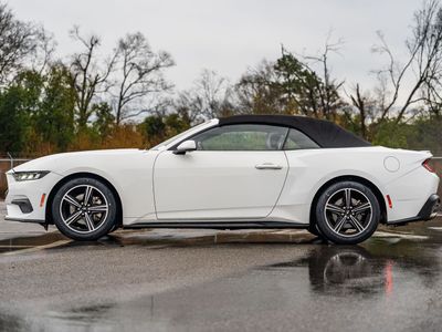 2024 Ford Mustang - Photo 3