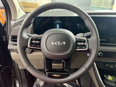 2026 Kia Carnival — photo 17 view