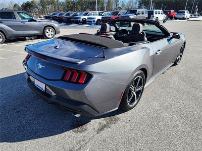 2026 2024 Ford Mustang EcoBoost - Photo 5