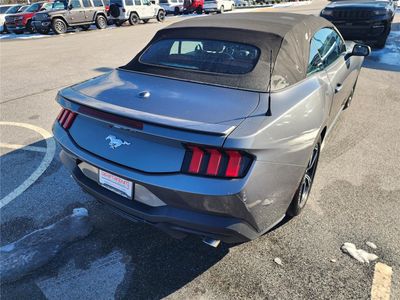 2026 2024 Ford Mustang EcoBoost - Photo 8