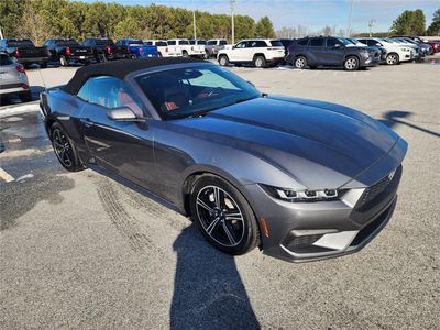 2026 2024 Ford Mustang EcoBoost - Photo 6