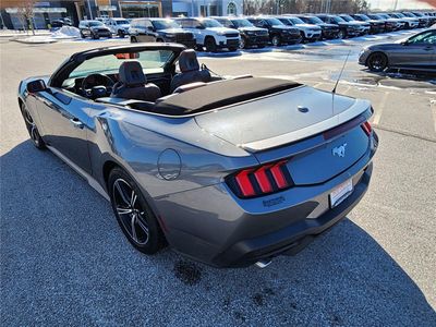 2026 2024 Ford Mustang EcoBoost - Photo 3