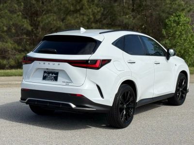 2025 Lexus NX - Photo 12